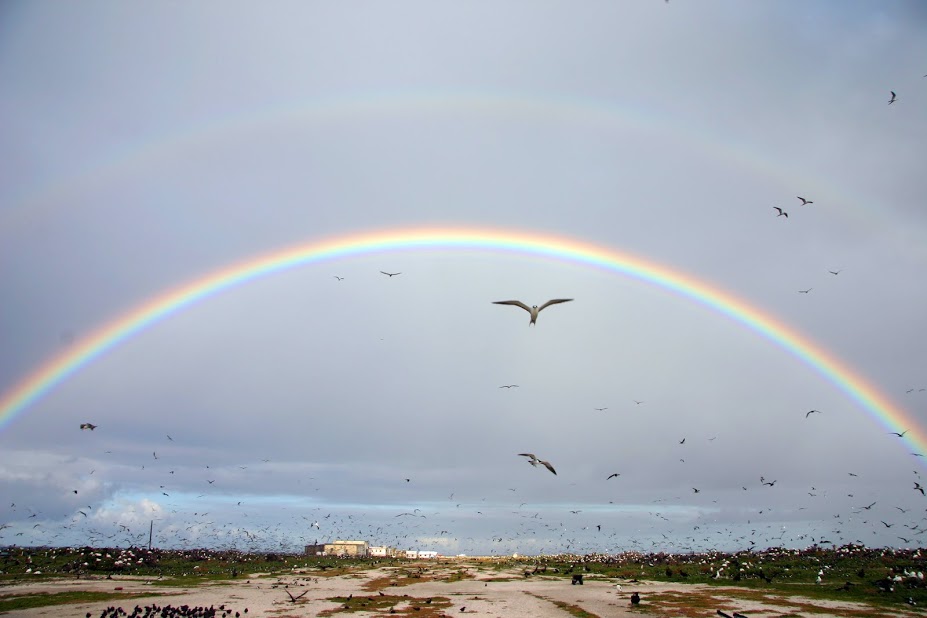 More Rainbows with Climate Change